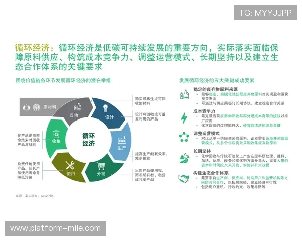 广州篮球队转型之路的挑战与机遇全景解析与未来展望